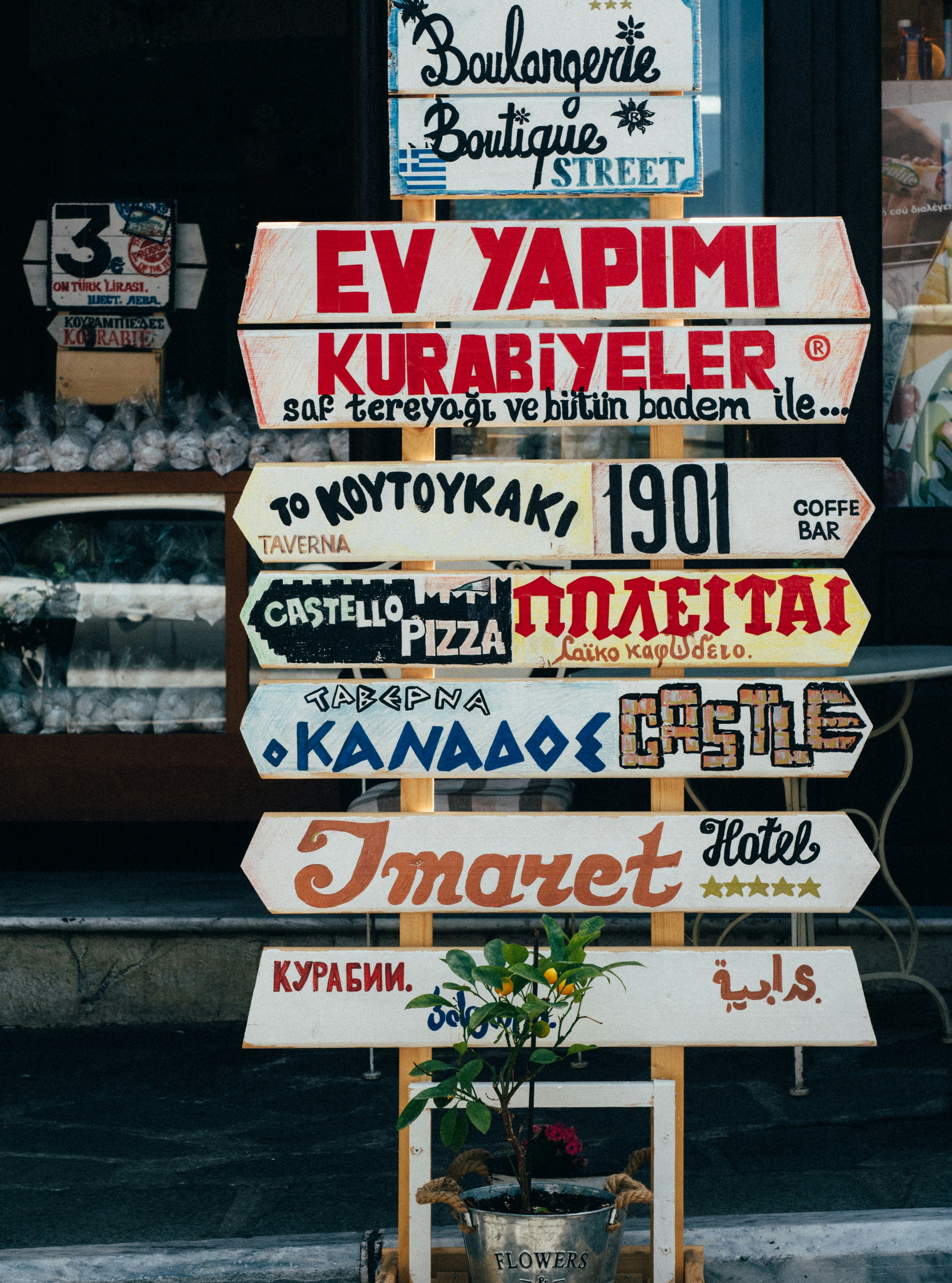 Language Training